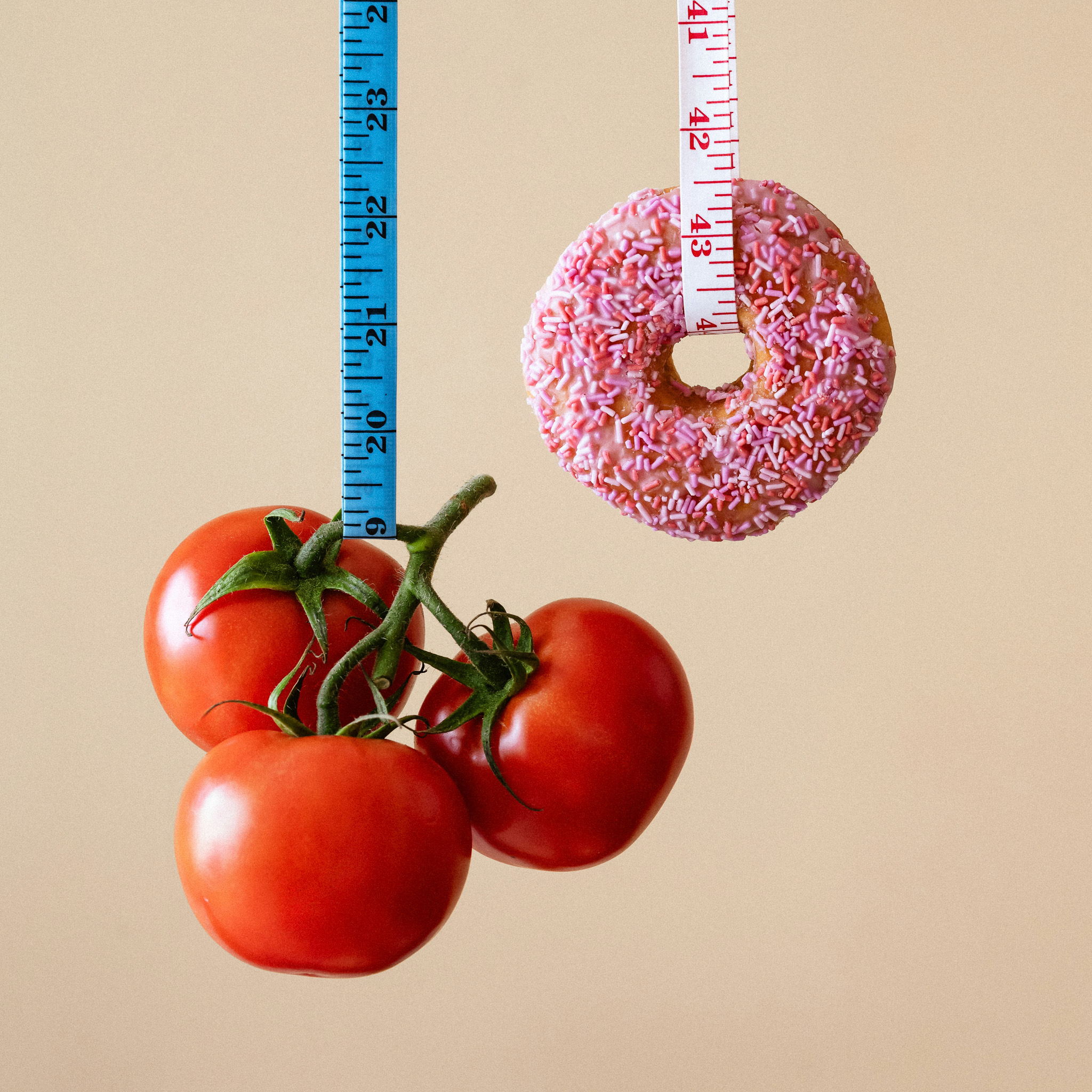 칼로리 배분 가이드