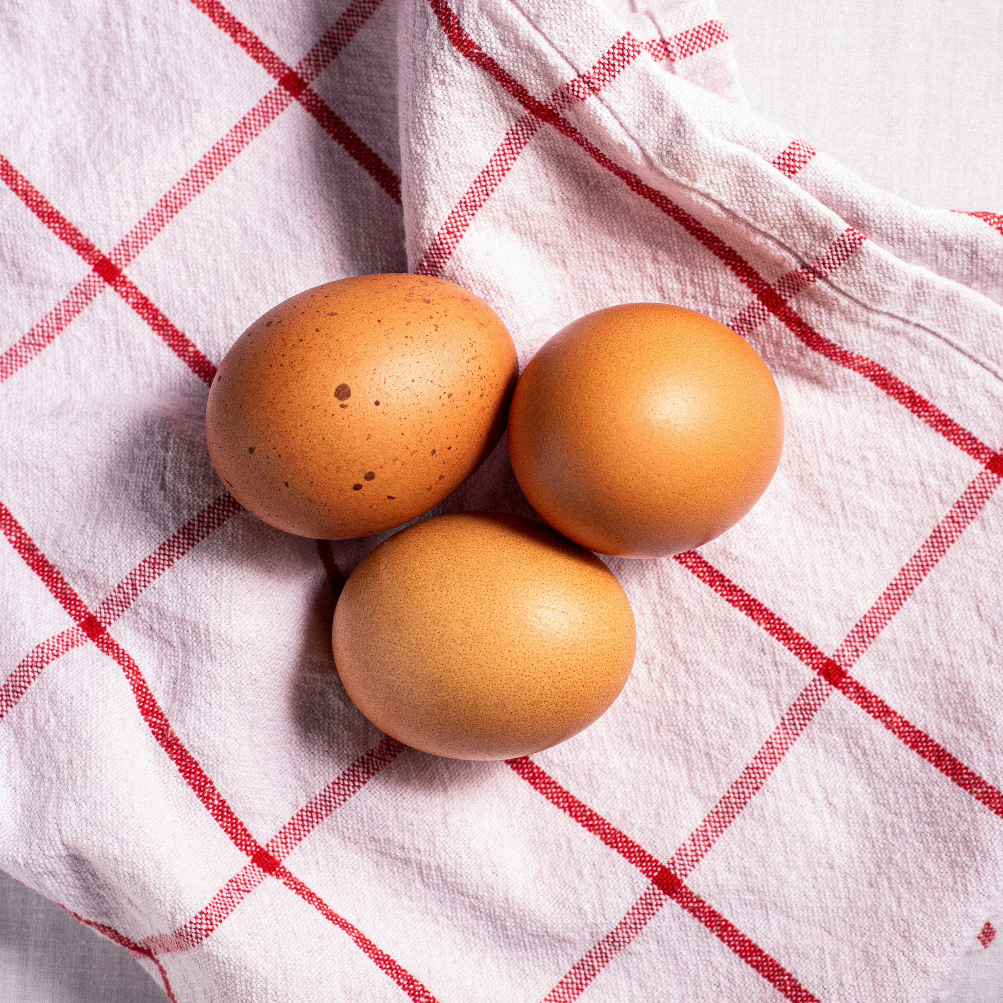 단백질 가득한 아침 식사하기